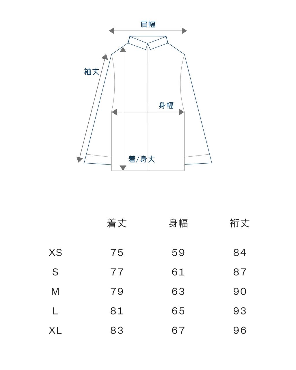 THE NORTH FACE RETRO MOUNTAIN LIGHT GORE-TEX JACKET (BLUE)