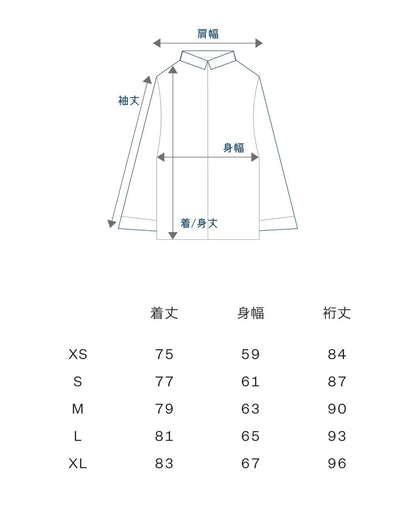 THE NORTH FACE RETRO MOUNTAIN LIGHT GORE-TEX JACKET (BLUE)