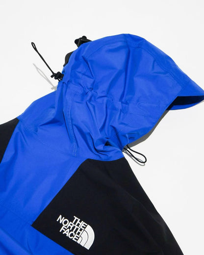 THE NORTH FACE RETRO MOUNTAIN LIGHT GORE-TEX JACKET (BLUE)